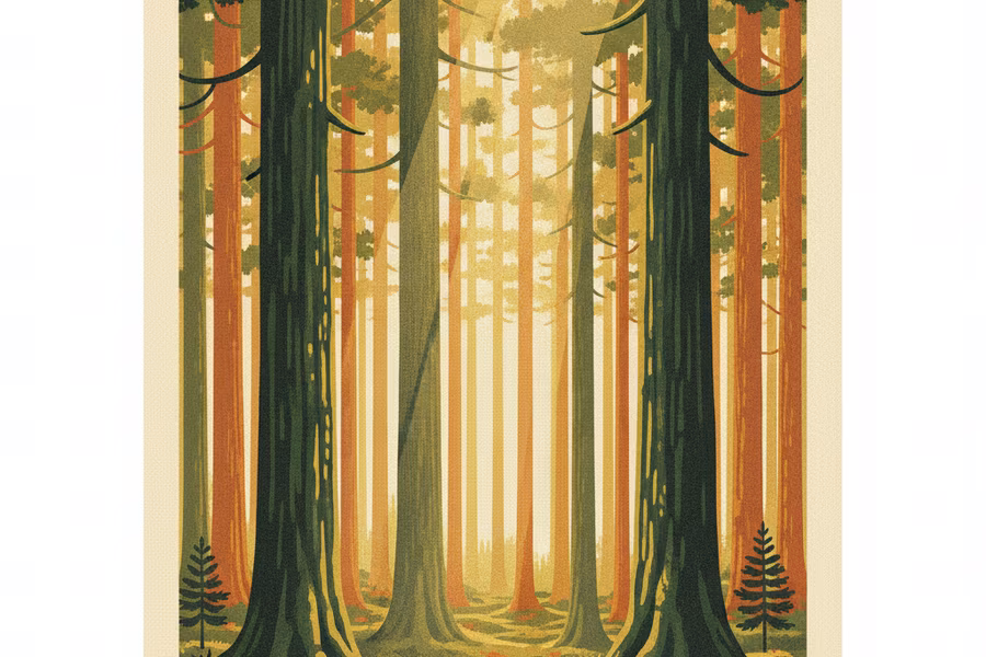Sunbeams filtering through a tall pine forest