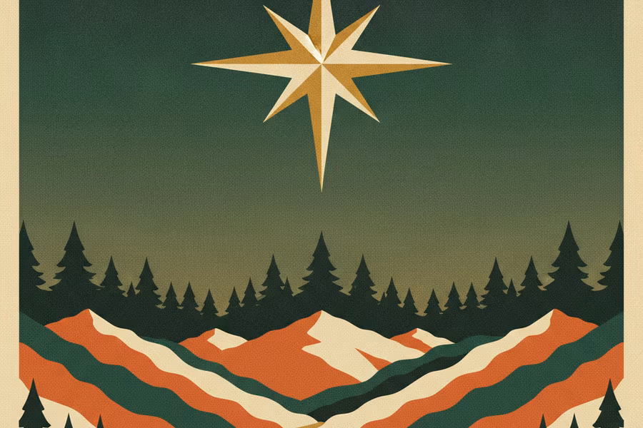 The north star shining above a dark evergreen forest